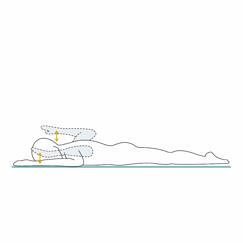 il-01783 Übung5--11-col(3493372) en