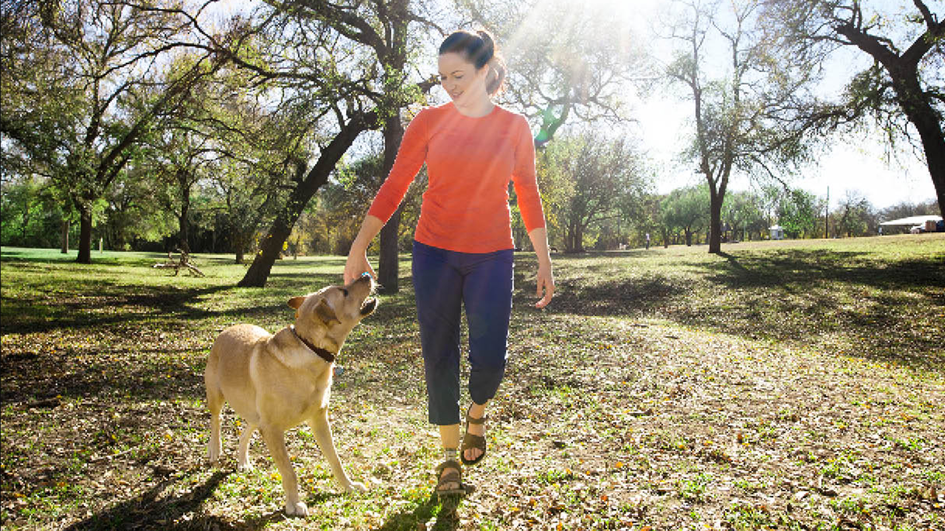 義足足部 1C53タレオLP カーボン構造 低床足部の常識を覆す滑らかさ