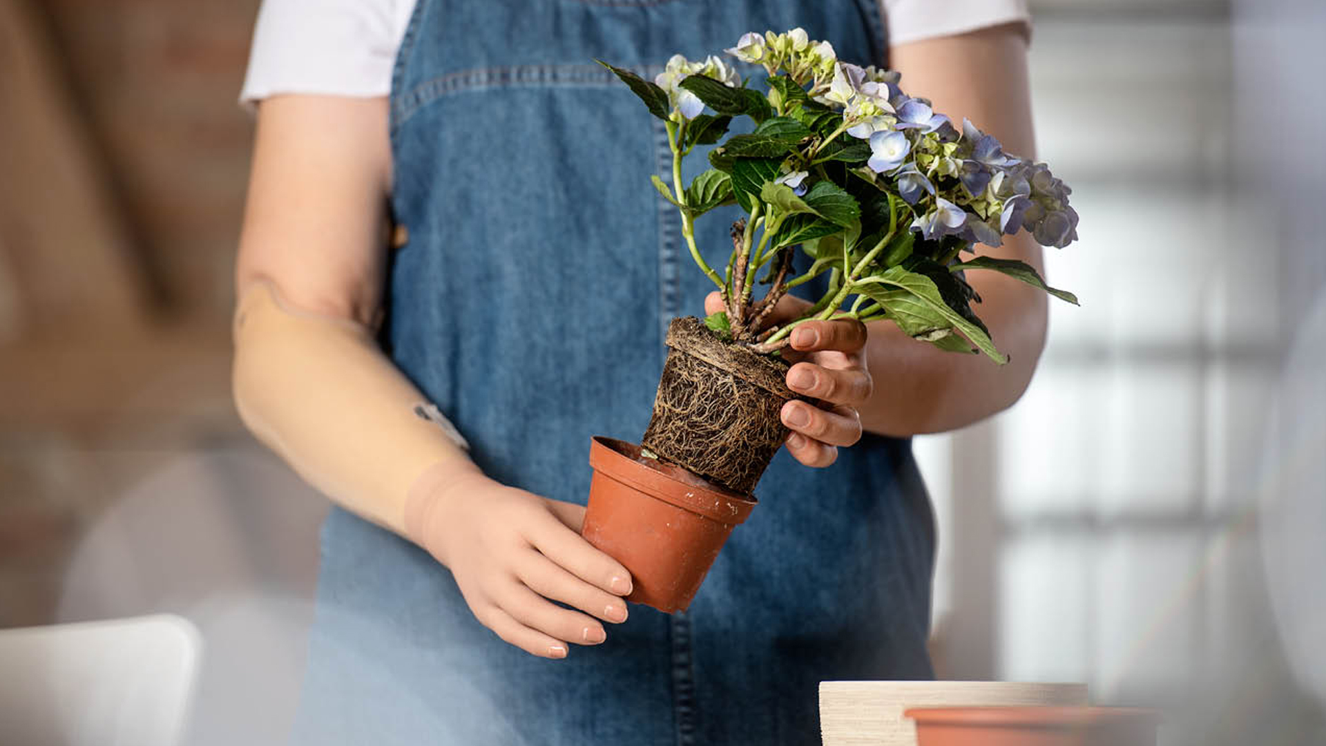 筋電義手 8E70 bebionicハンド パワーグリップ