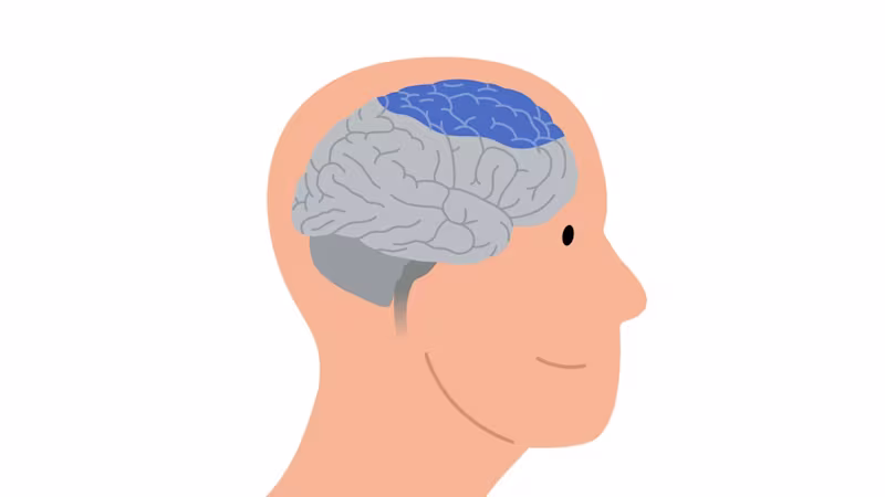 Grafika ľudskej hlavy a mozgu, na ktorej sú oblasti mozgu postihnuté spastickou paralýzou zvýraznené modrou farbou
