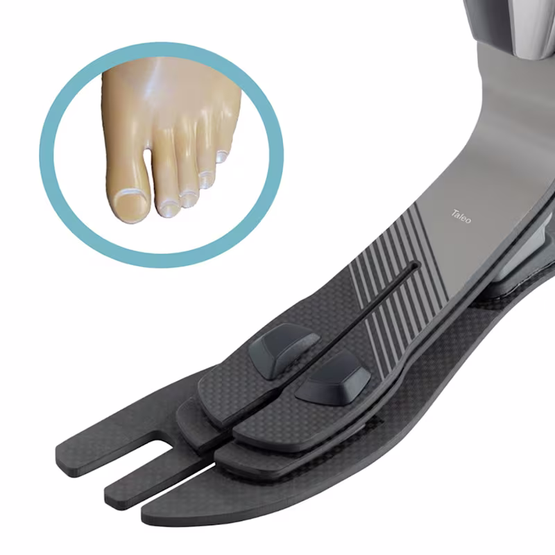 義足足部1C50タレオ カーボン構造 指股付き