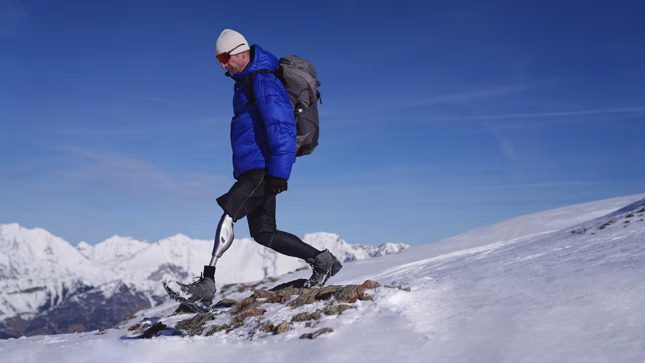 Björn in den Bergen 