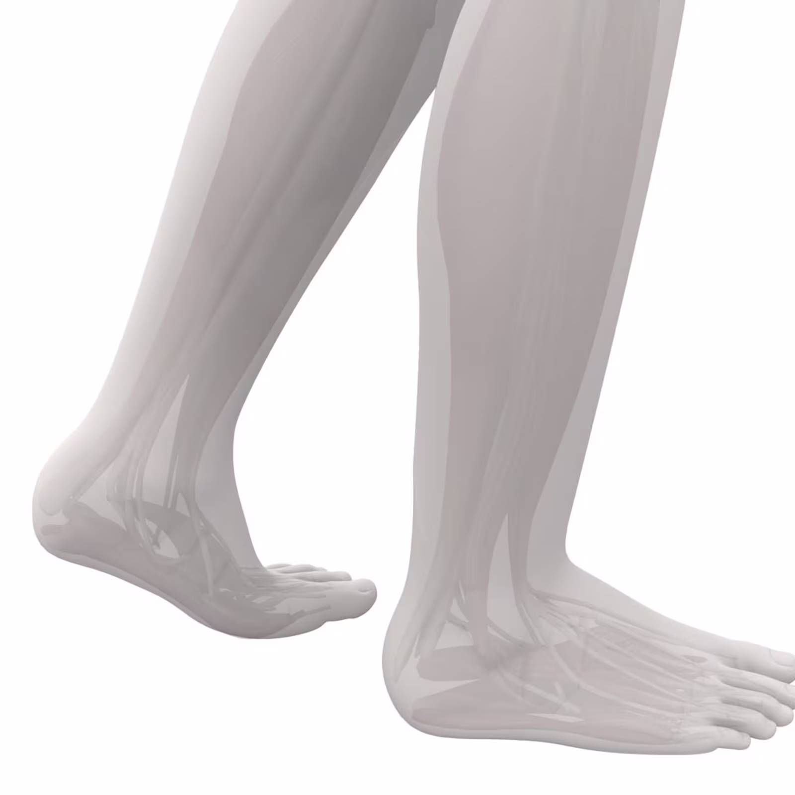 FirstSpiritExport,OBISCM-1557,web_site,orthotics_2