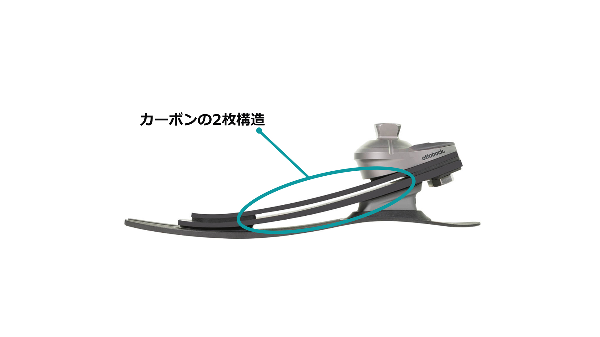 義足足部 1C53タレオLP構造 カーボン構造 低床足部の常識を覆す滑らかさ