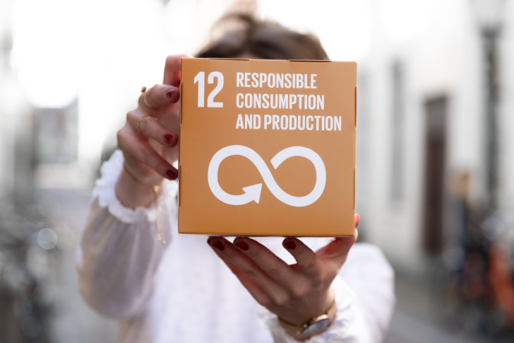 sdg-12-etiquet-duurzame-productieketen-sustainable-development-goals