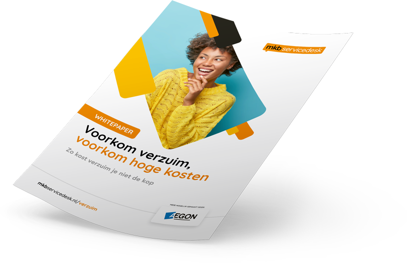 Whitepaper voorbeeld