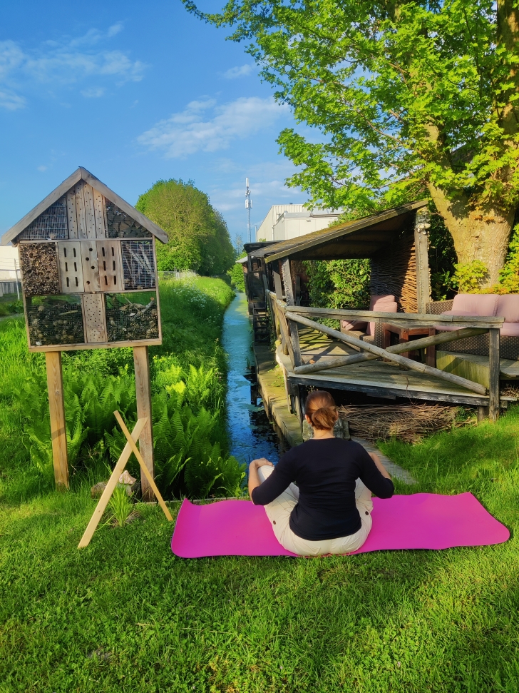 Internationale Yogadag - Gina Guldenaar