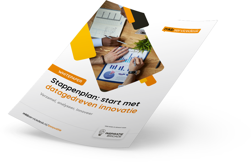 Whitepaper voorbeeld