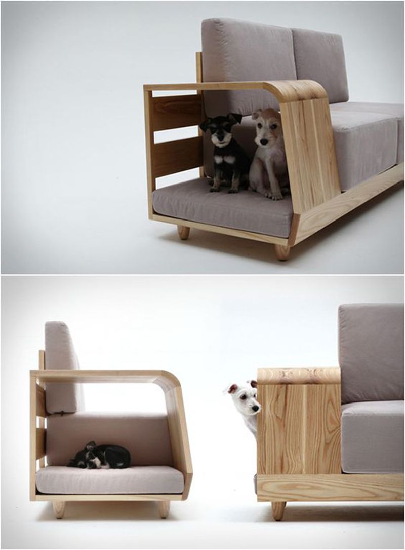 Diseñar apartamentos pet friendly