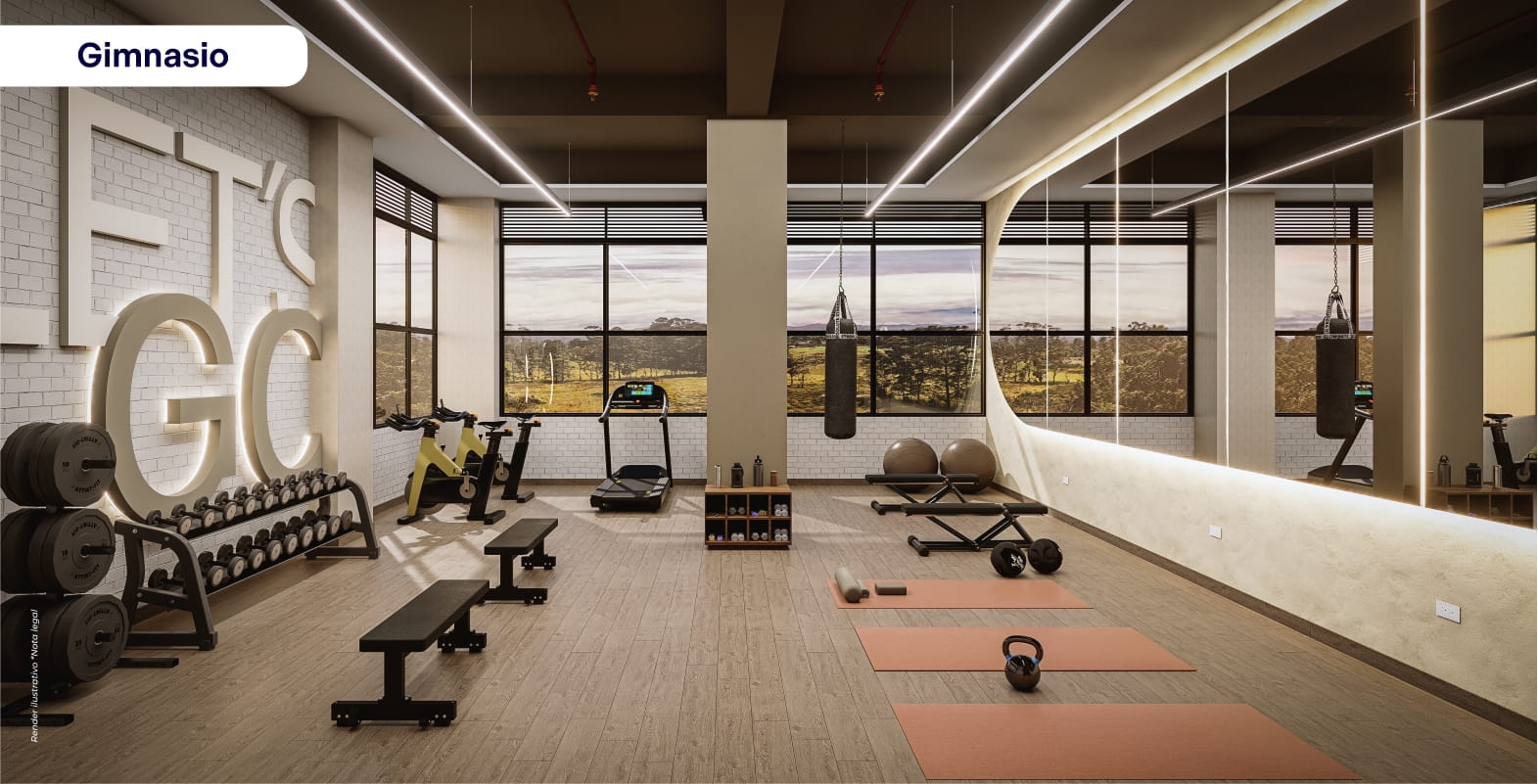 render alma del rio gimnasio