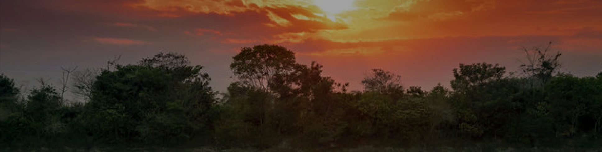 bg-atardecer-ayc-llano-kristal-deskptop