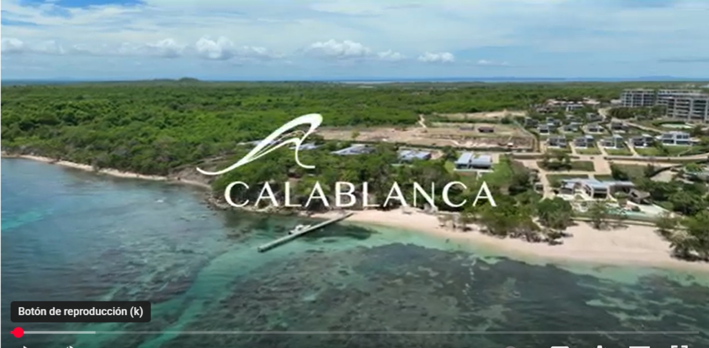 Haga clic para cargar el video de YouTube