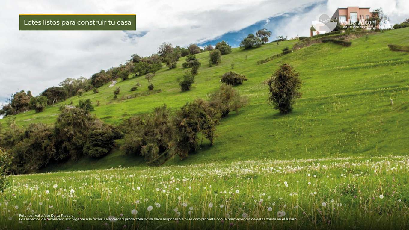 Valle alto foto real 2