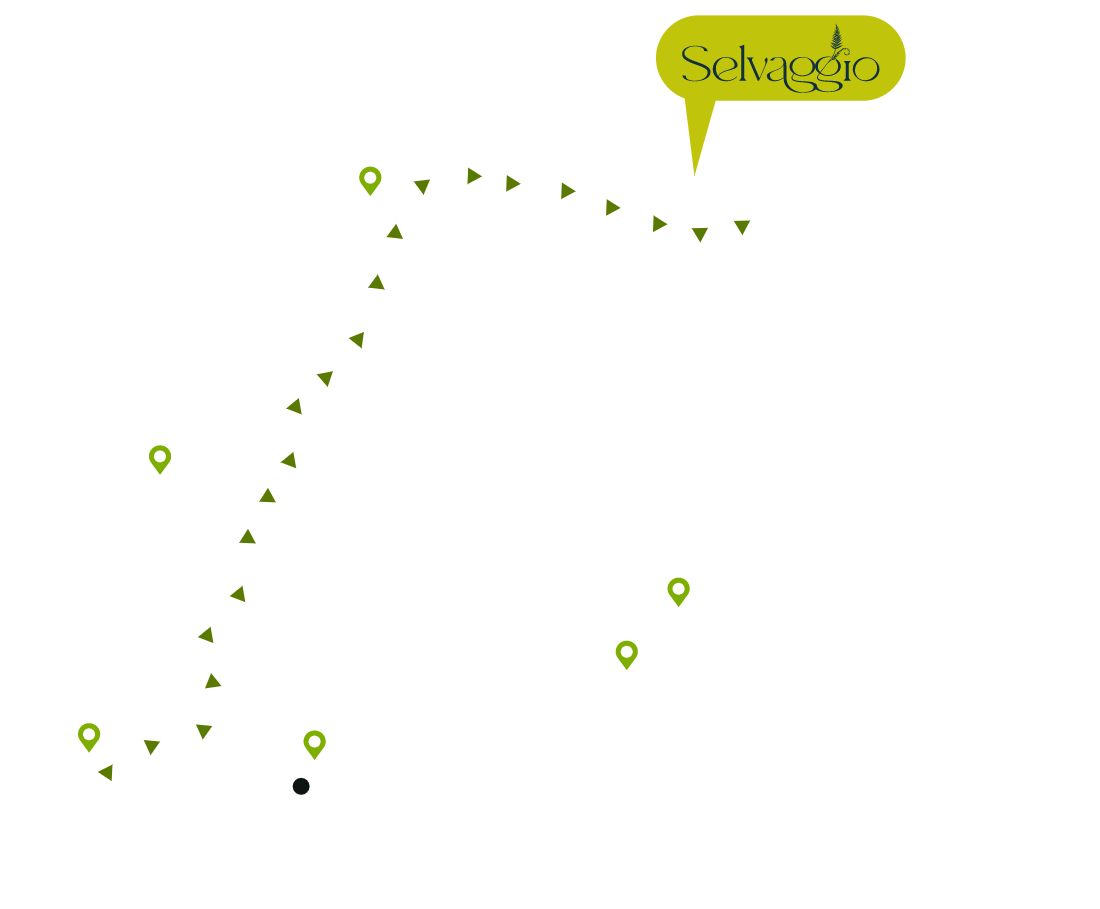 Mapa de Selvaggio.mapa