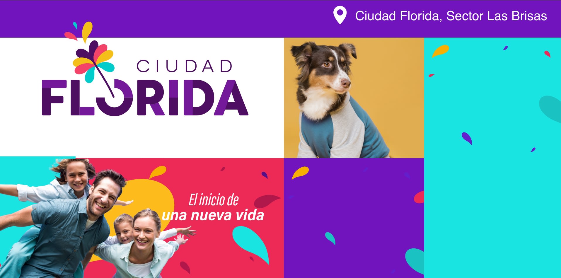 banner-florida-desktop