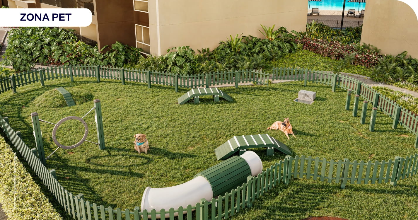 render llano kristal zona pet