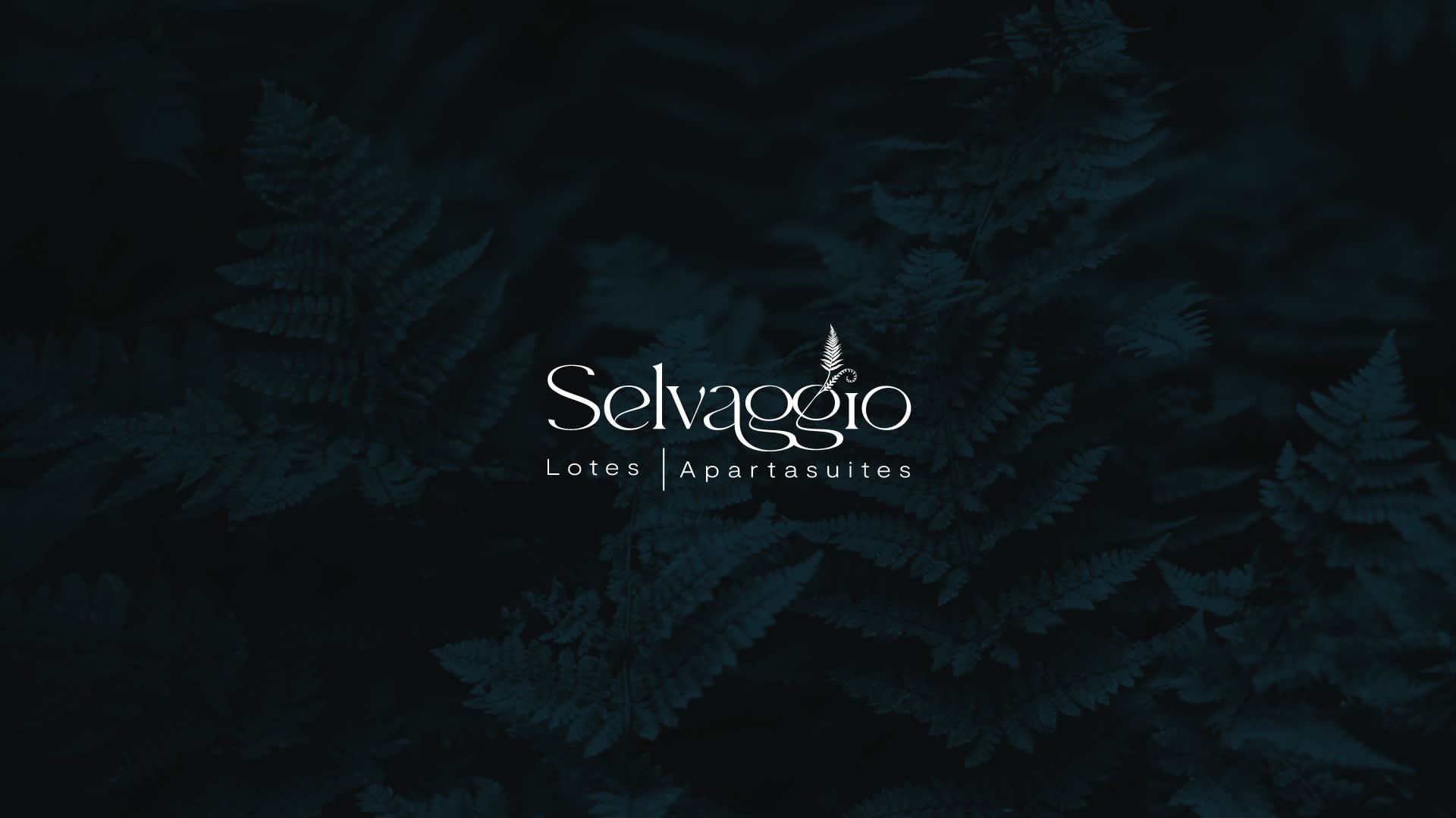 Banner Lanzamiento false