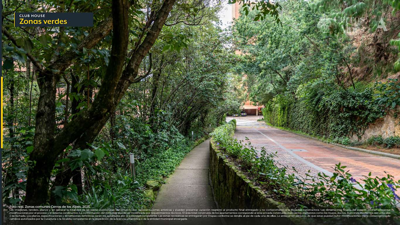 CERROS FOTO REAL ZONAS VERDES