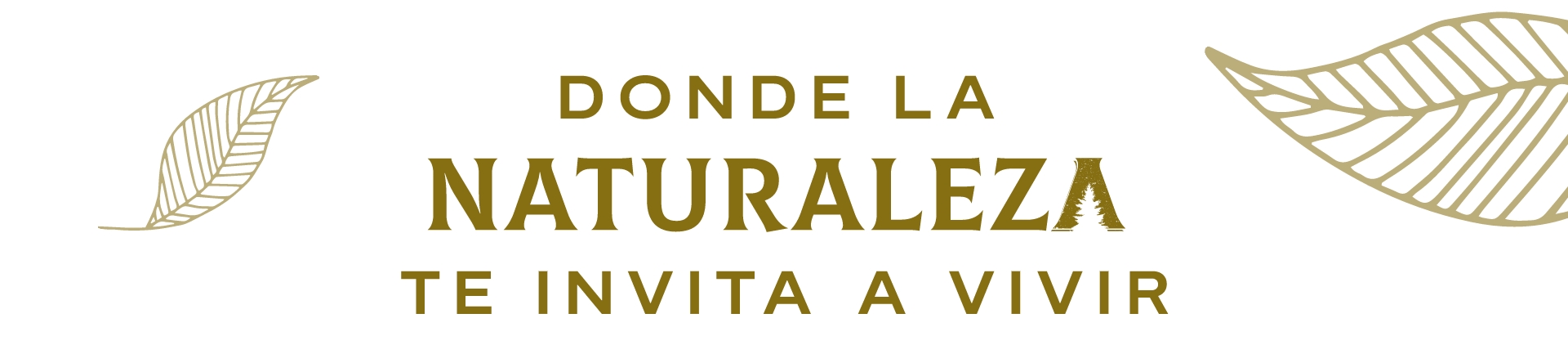 banner-auxiliar-condominio-cerralto
