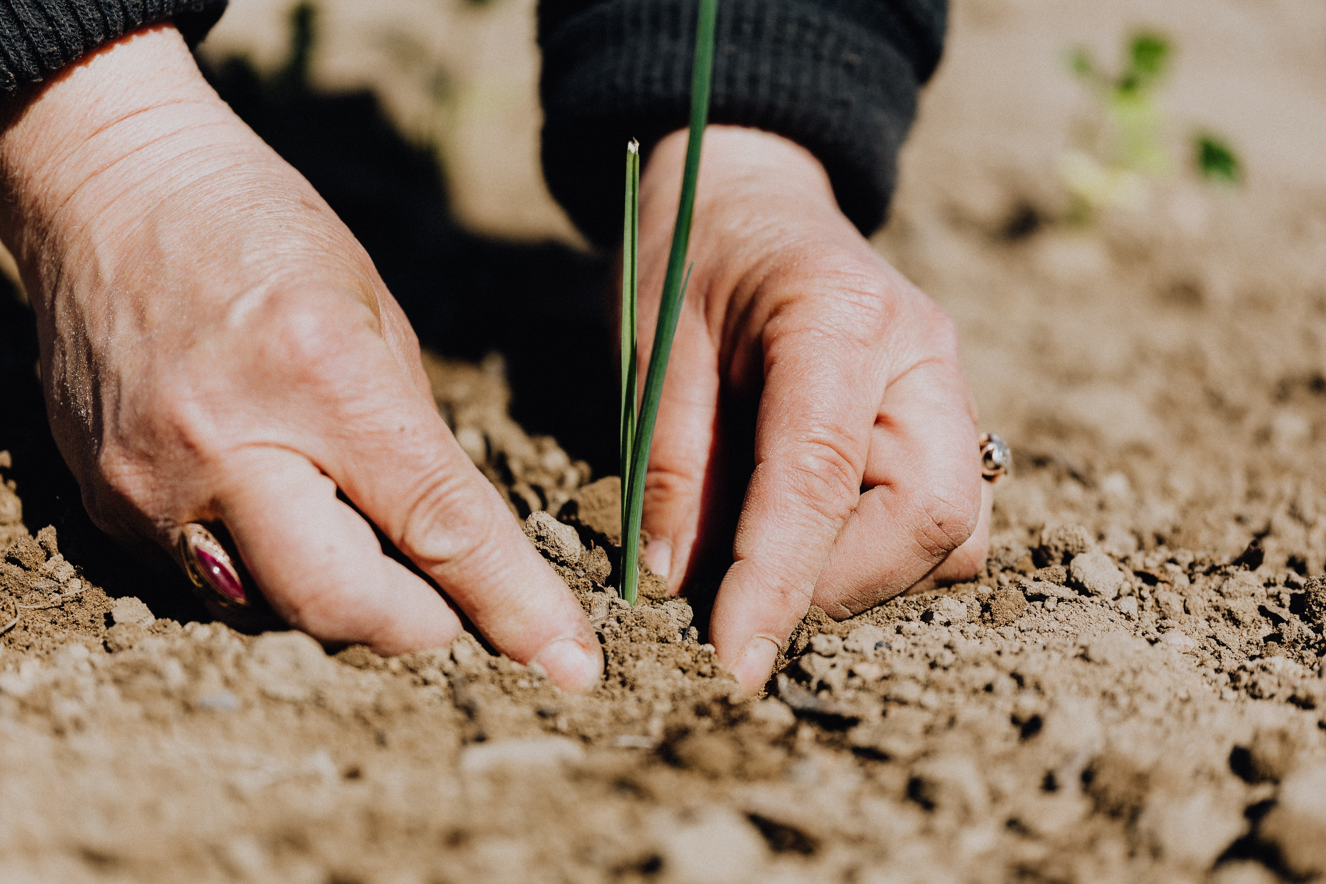 Responsabilidad ambiental y social para nuestros proyectos