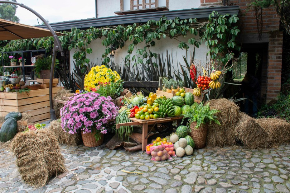 Vivir en el campo en el oriente antioqueño