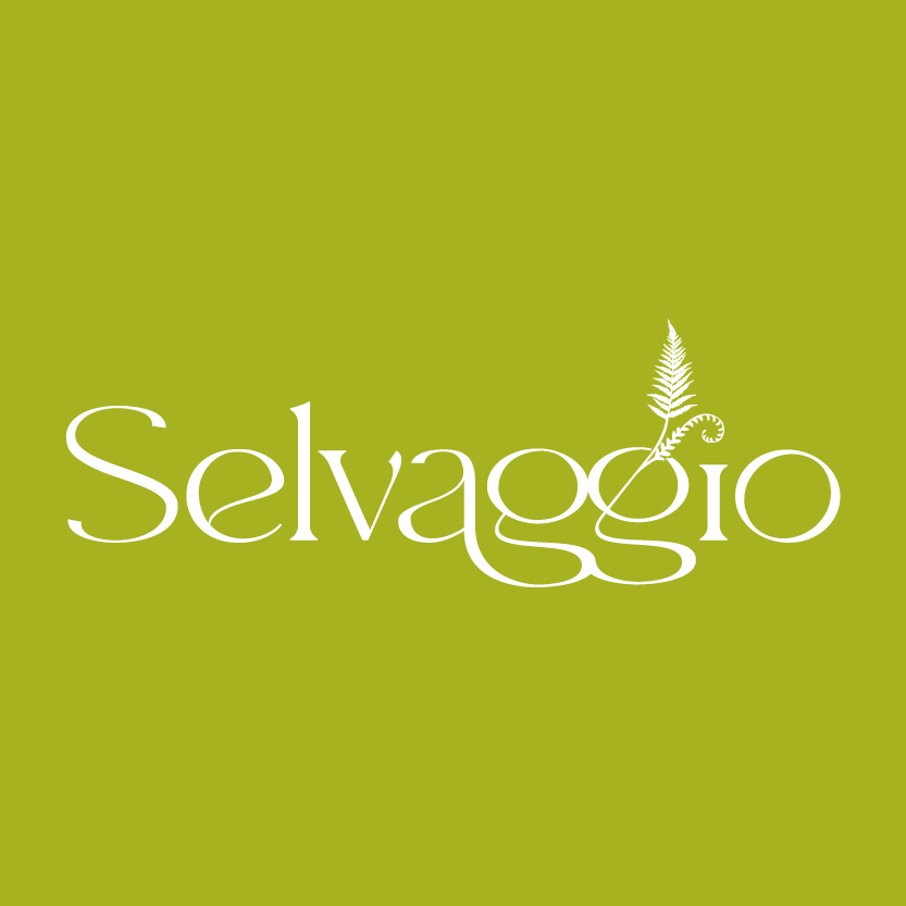 logo card selvaggio ayc