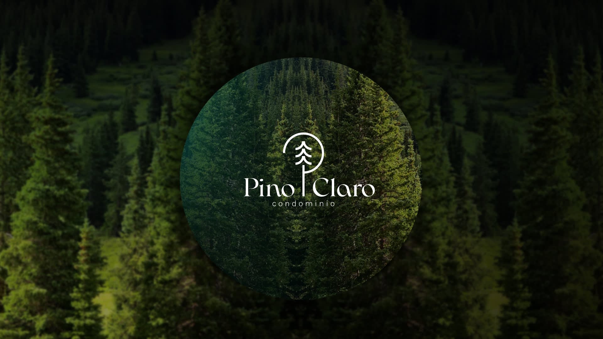 Banner Lanzamiento false