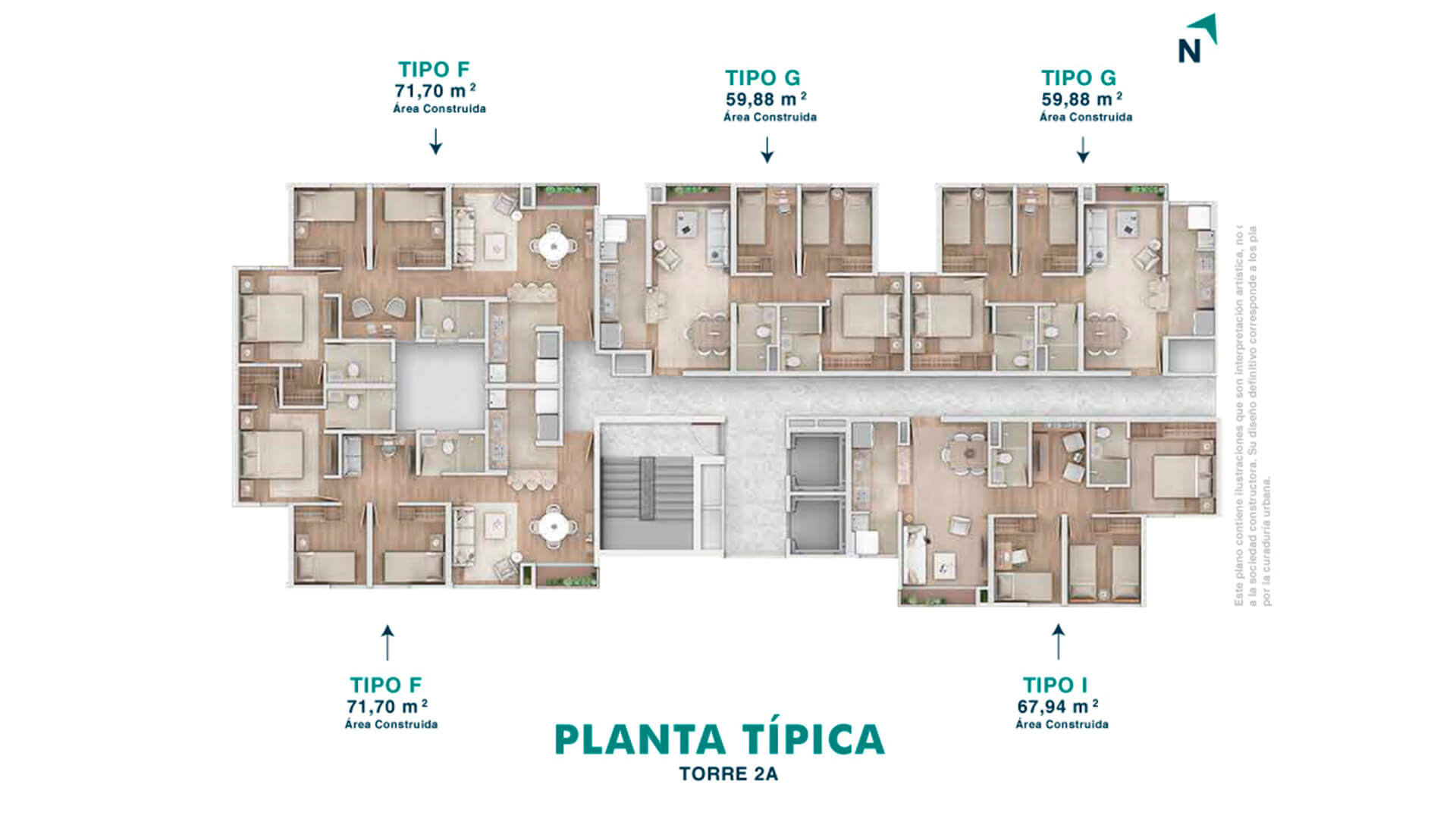 castelo-natura-planta