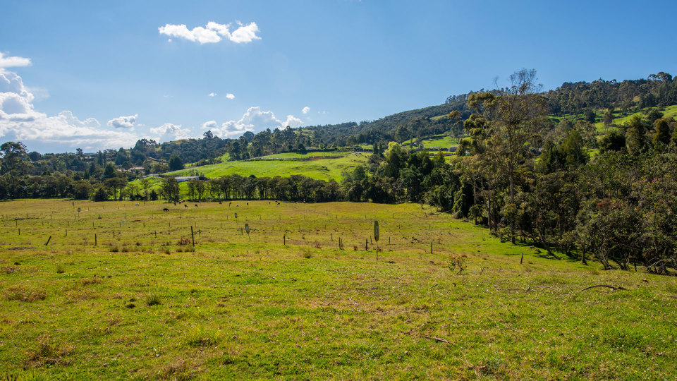 Mejores lugares de Envigado - Village Lotes