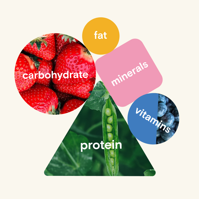 Strawberries with the text 'carbohydrates over it'; peas with the text 'protein' over it; next to them are the texts 'fat', 'minerals', and 'vitamins'