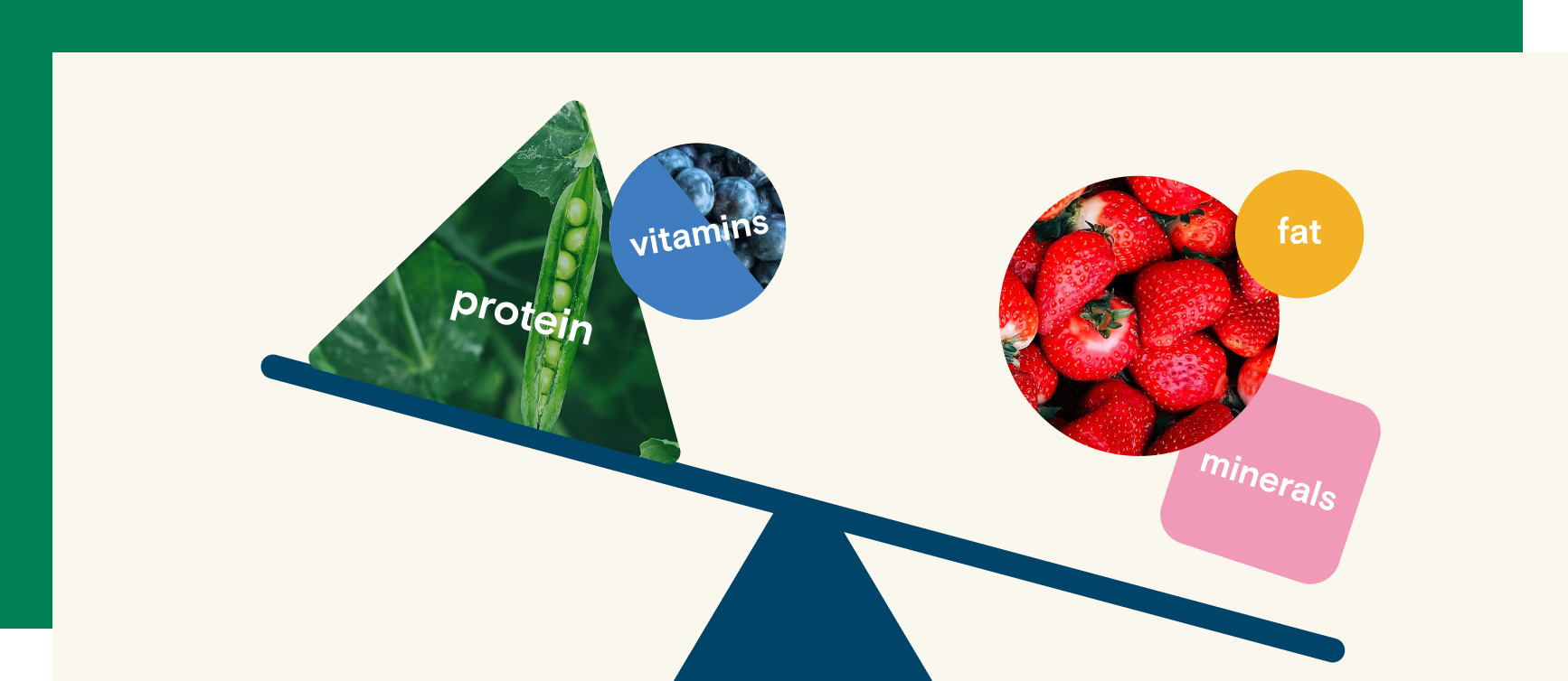 Strawberries; peas with the text 'protein' over it; next to them are the texts 'fat', 'minerals', and 'vitamins'. On a weighing scale with protein and vitamins higher than the others.