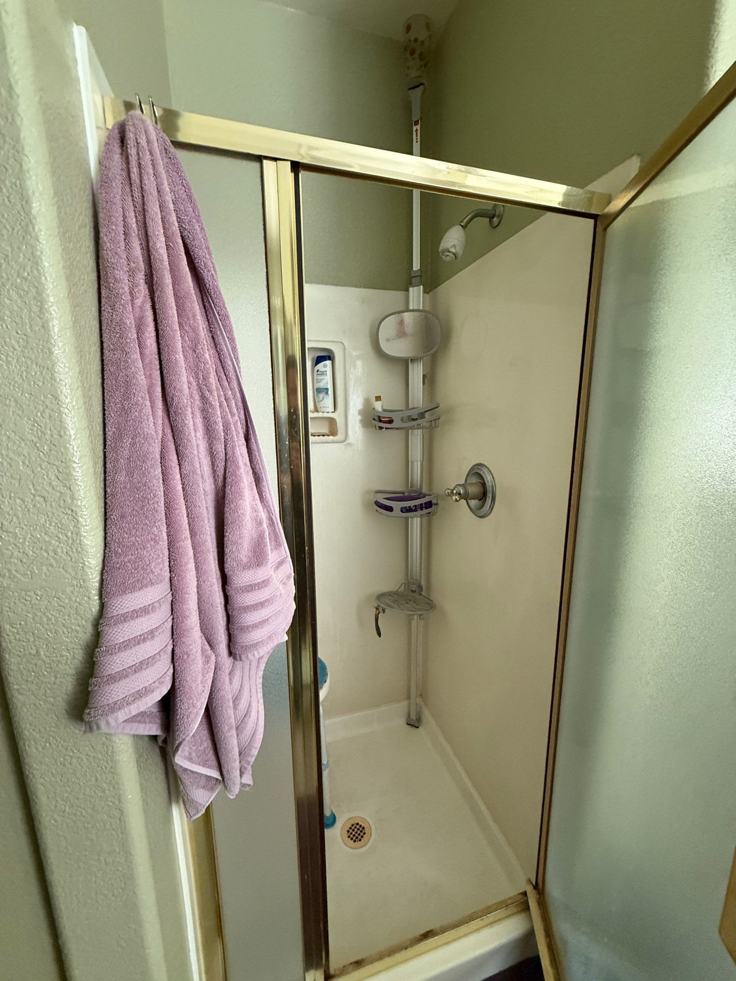 Before: original gold-framed shower enclosure