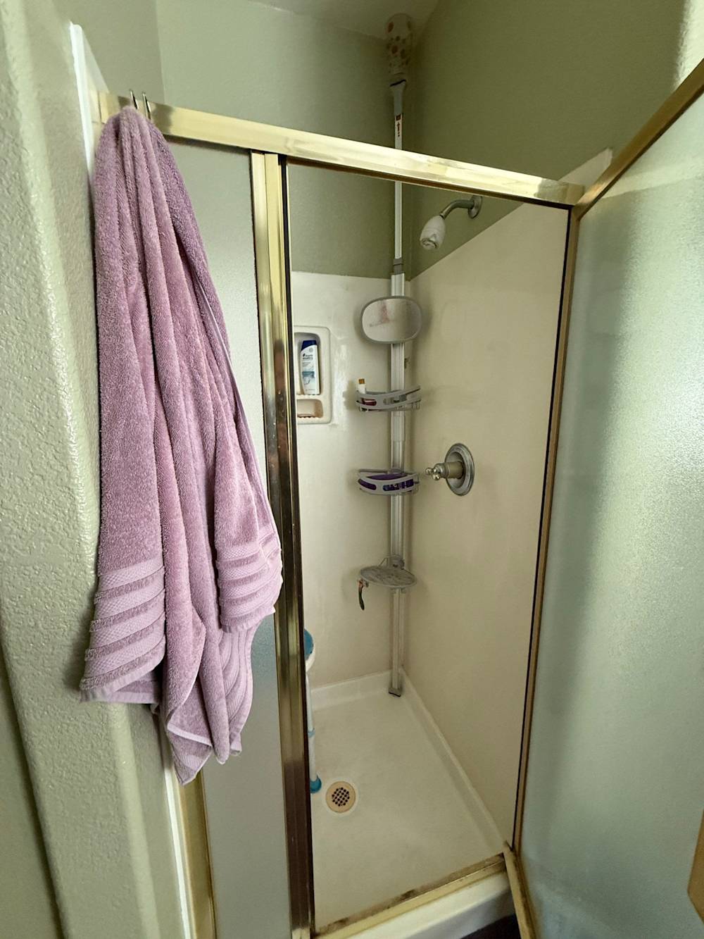 Before: original gold-framed shower enclosure
