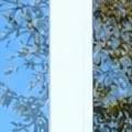 Window Frame Materials Compared: Vinyl, Fiberglass, Wood and Composite