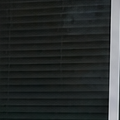 How Long Engineered Wood Siding Lasts in the Central Valley