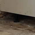 Plywood vs Particleboard Cabinet Boxes: What Actually Holds Up
