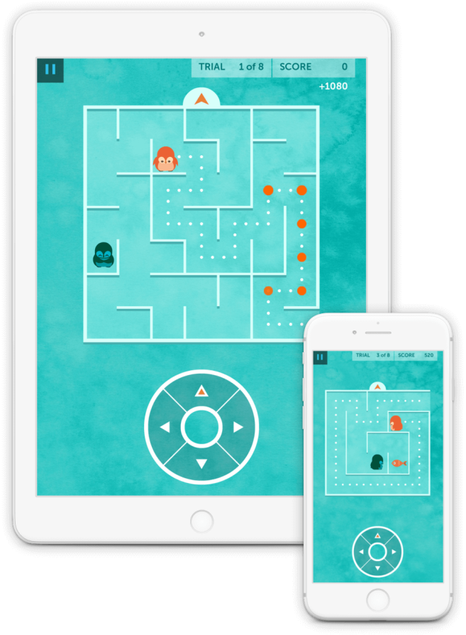 Course de pingouins vous fait utiliser votre orientation spatiale, votre capacité à vous repérer dans une carte mentale, afin de guider un pingouin dans un labyrinthe. Lorsque le labyrinthe pivote, vous devez faire pivoter votre carte mentale du labyrinthe et ajuster la direction pour atteindre le poisson.