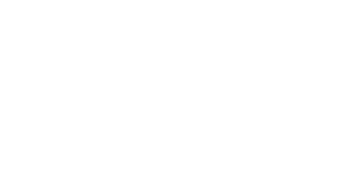 Ein Logo von Pantenius in Weiß
