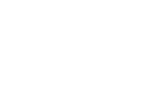 Ein Logo von Dentina in Weiß