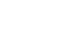 Netto Logo in Weiß