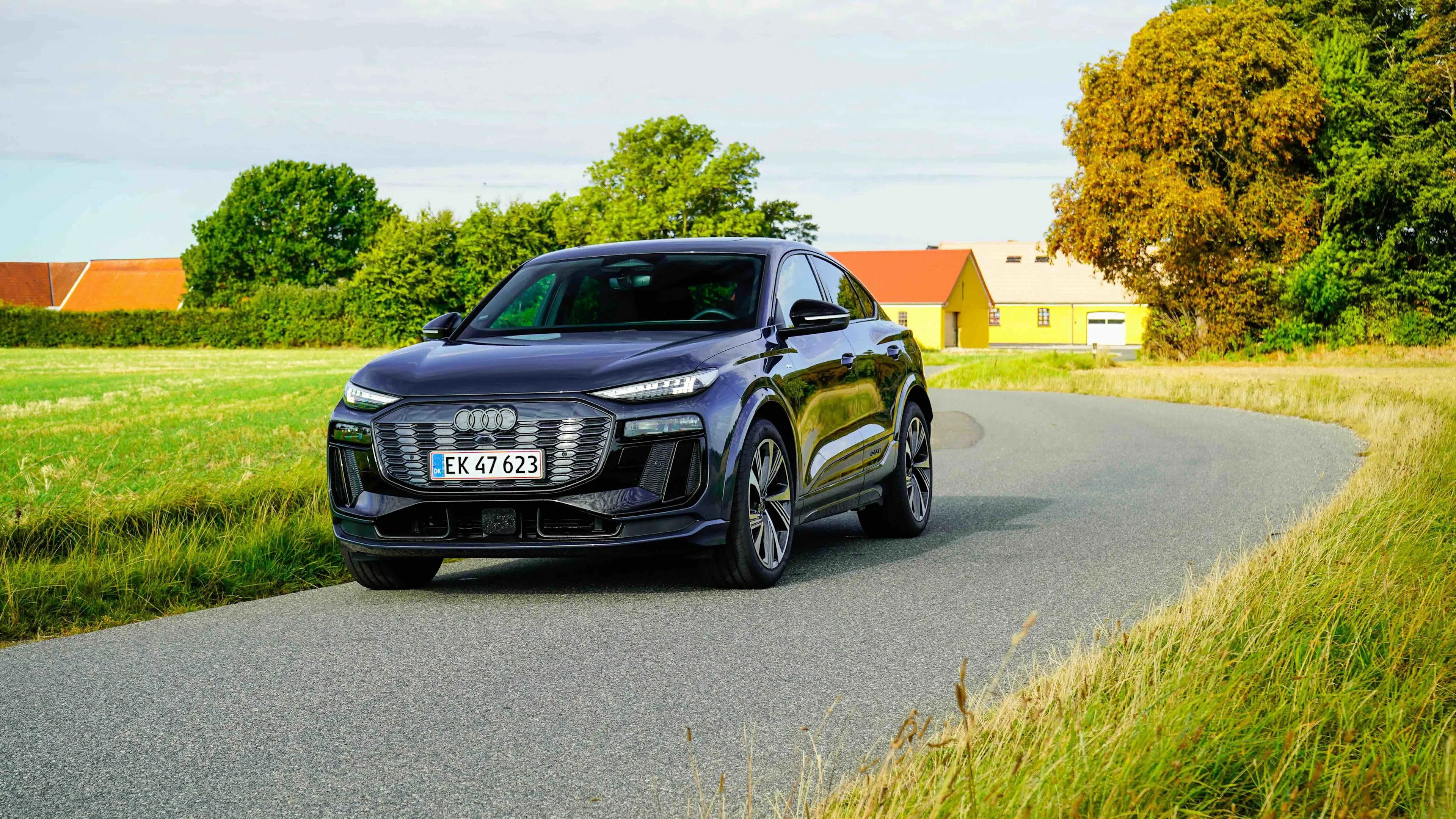 Audi Q6 e-tron Sportback-highres-22
