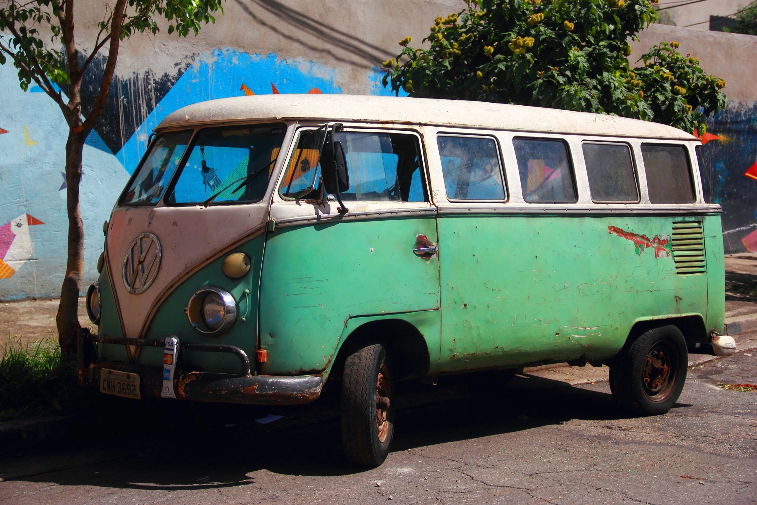 francis-farago-ZD_R3lOqwSo-unsplash (1)
