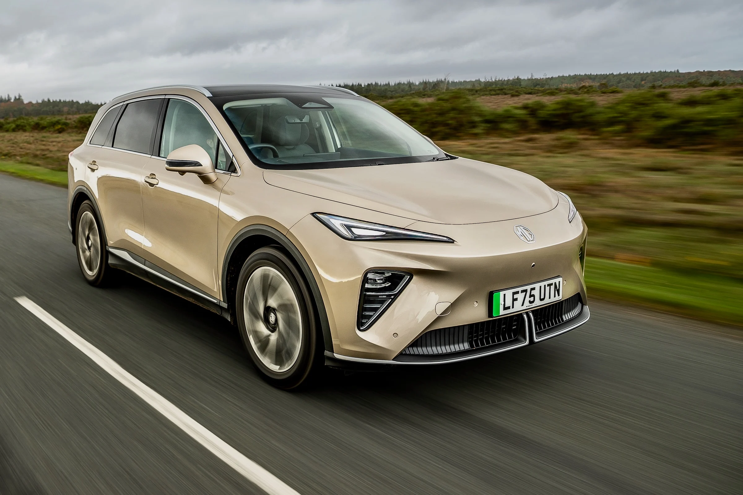 11.11.25-MGS6EV-6975