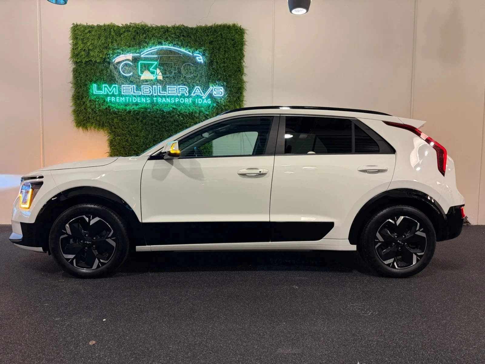 Kia Niro EV-3