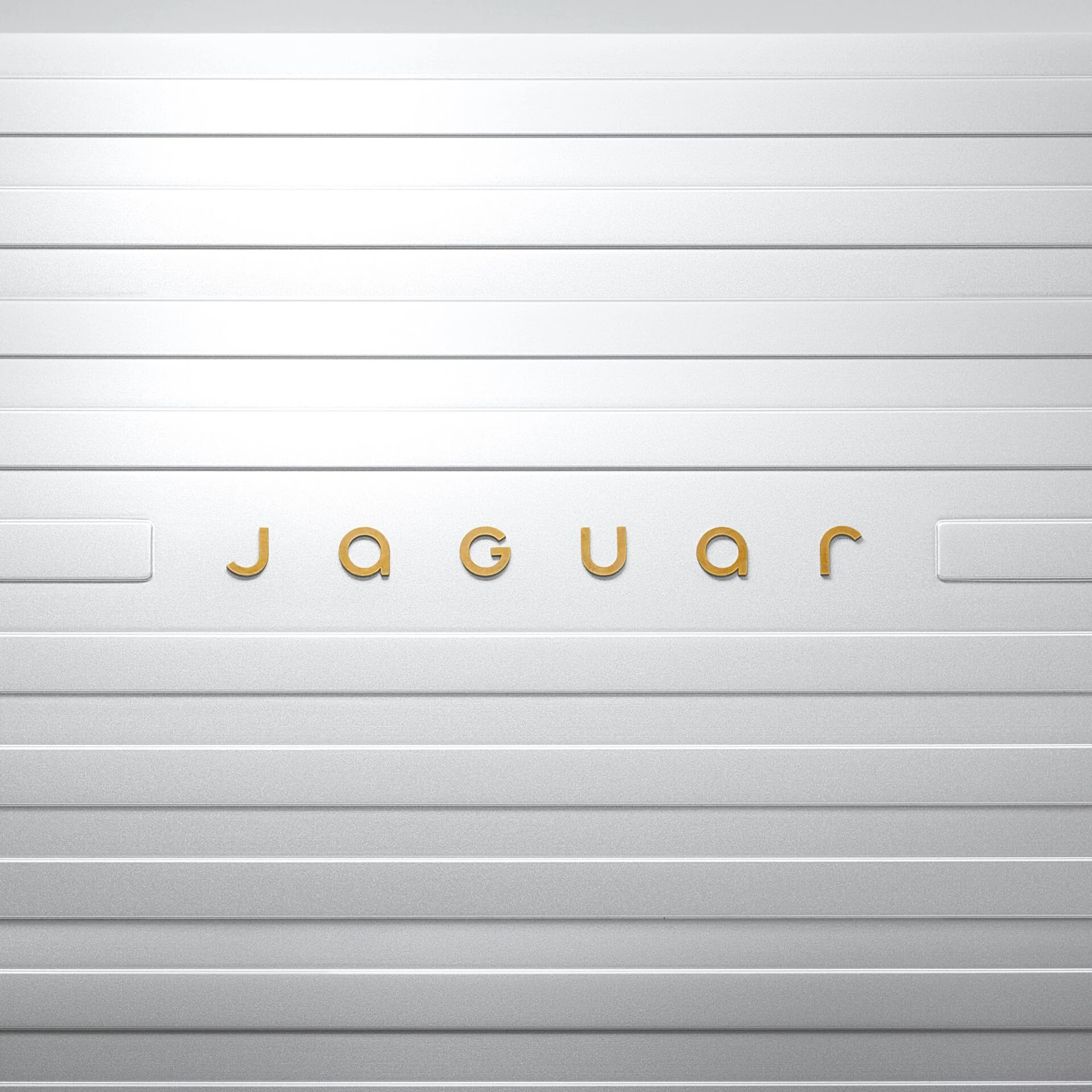 JAGUAR_DEVICE_MARK_4X5_191124