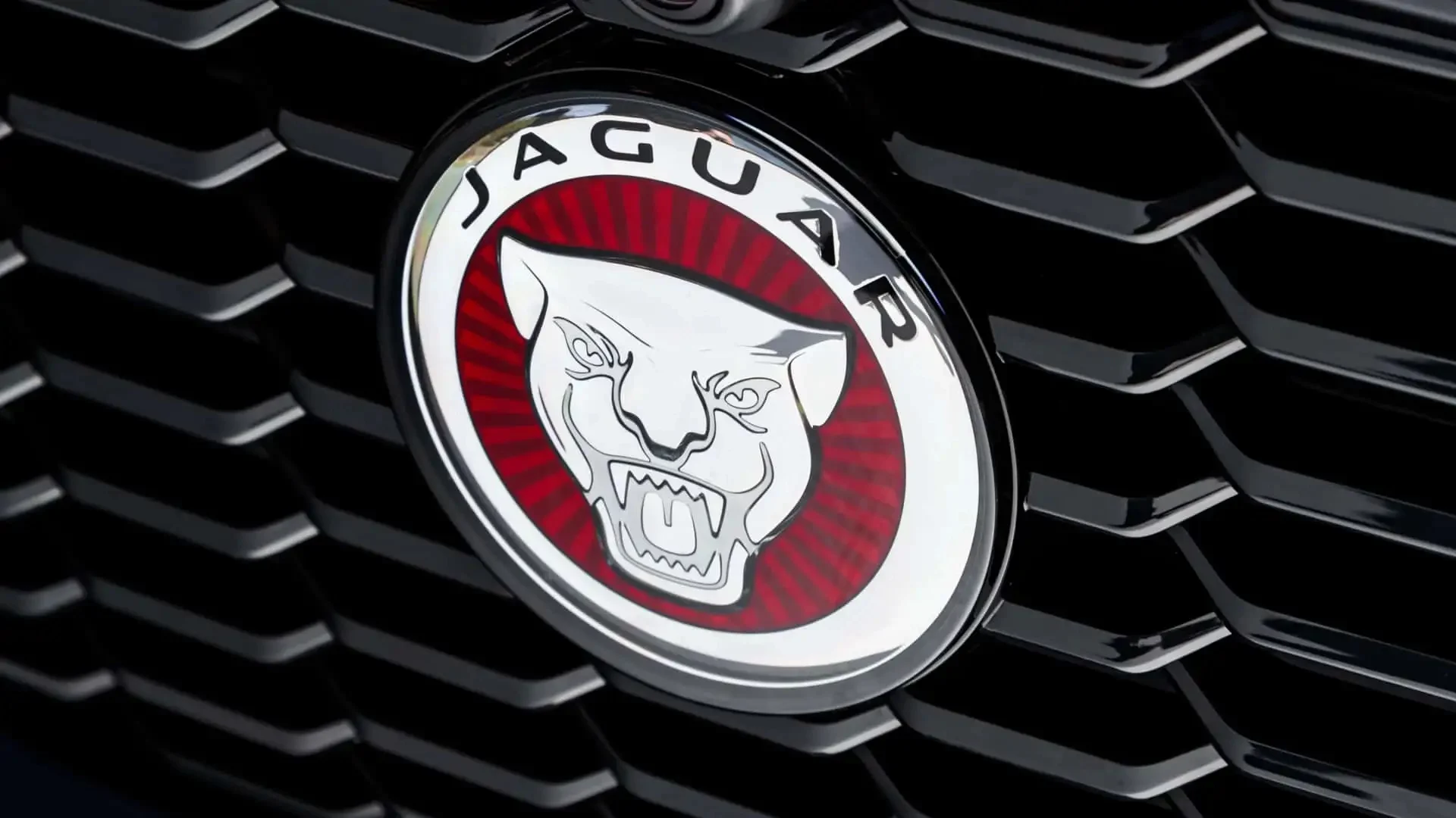 jaguar-gammelt-logo