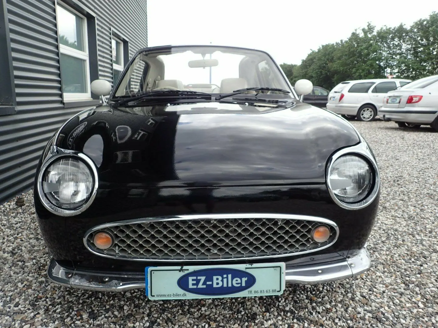 s-l1600
