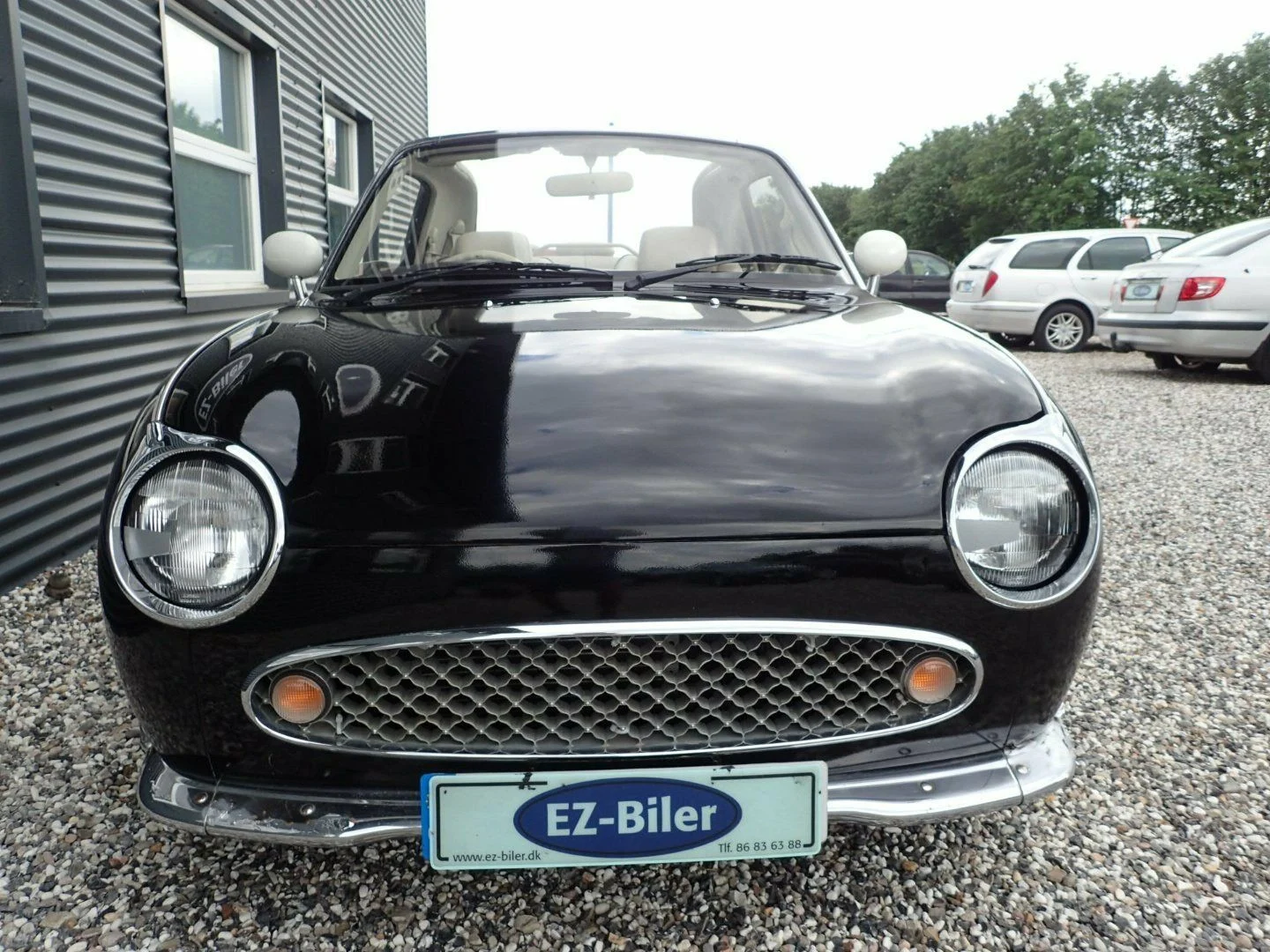s-l1600