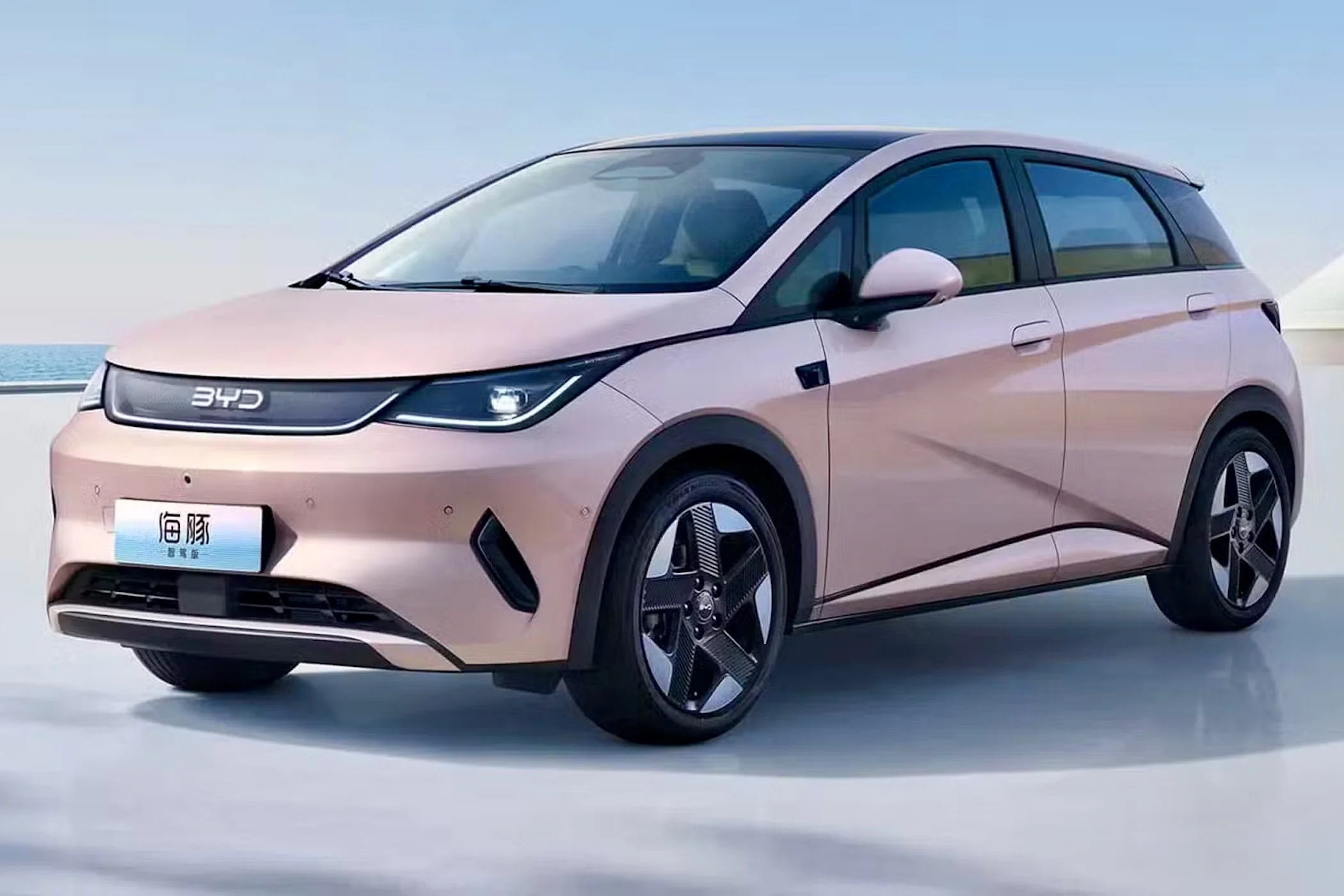 BYD Dolphin Kina