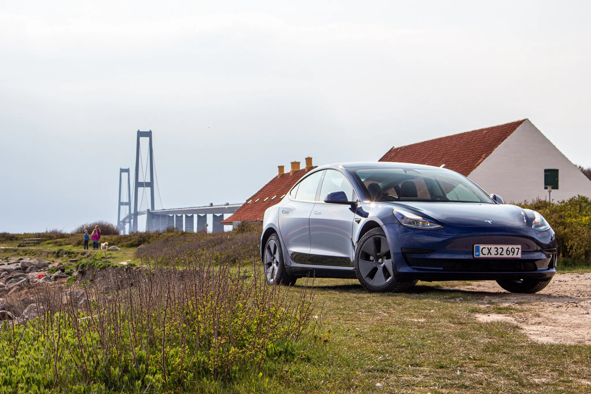 Tesla Model 3 2021 (1)